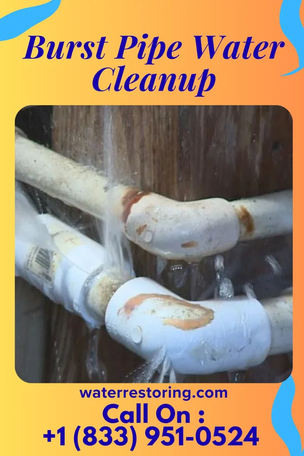 Burst Pipe Water Cleanup in Underhill Flats, VT