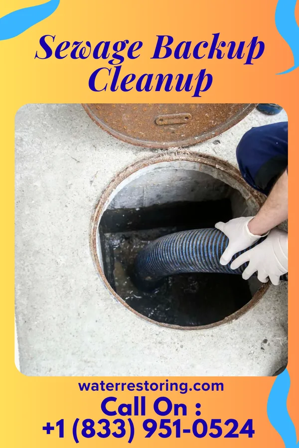 Sewage Backup Cleanup in Underhill Flats, VT