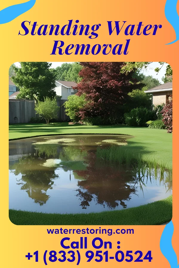Standing Water Removal in Underhill Flats, VT